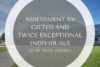 TTP #19: Dr. Aimee Yermish – Assessment with Gifted and Twice Exceptional Individuals