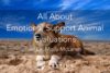 TTP #37: Dr. Molly McLaren – All About Emotional Support Animal Evaluations